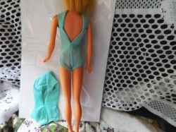 barbie blue swimsuit bk